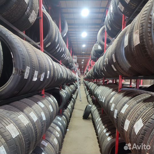 Tigar Winter 1 195/65 R15 95T