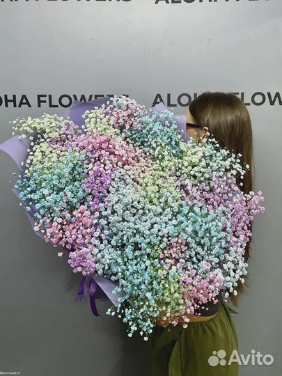 Радужные гипсофилы