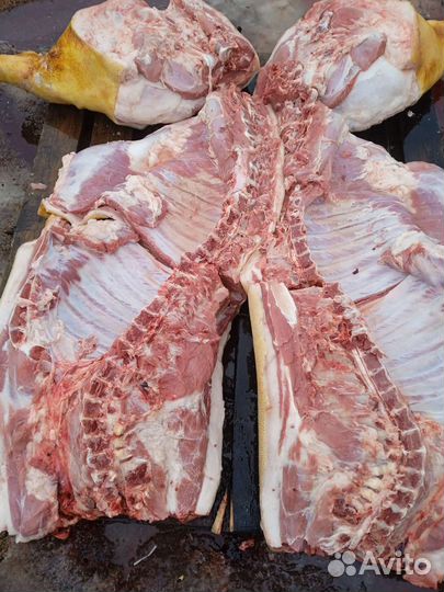 Мясо свинины