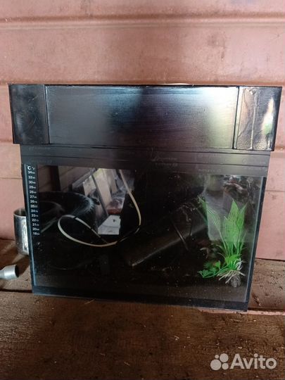 Аквариум
