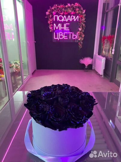 Черные розы