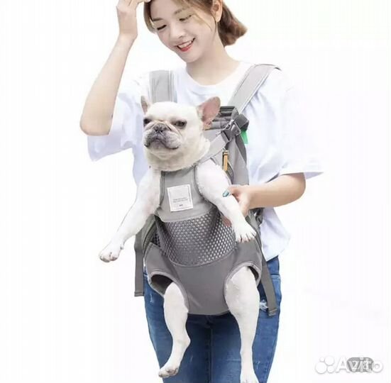 Рюкзак для собак