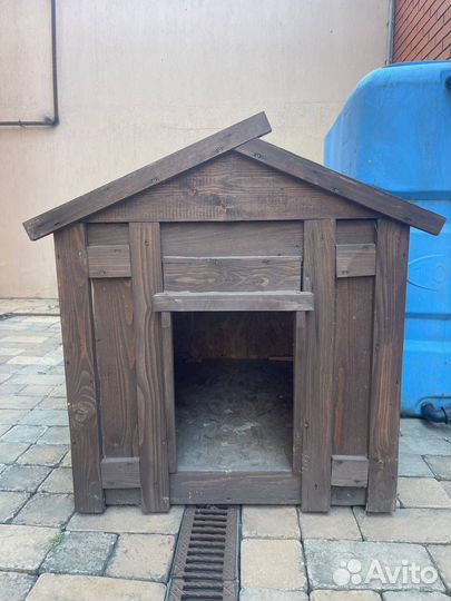 Собачья будка