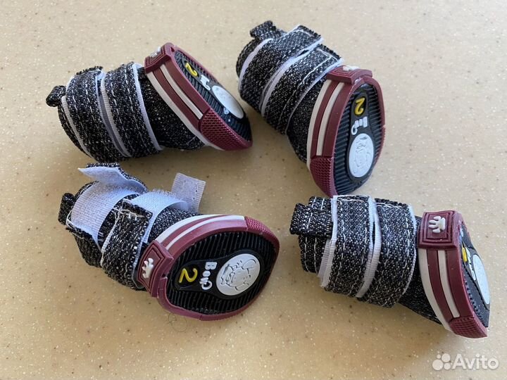 Одежда для собак мелких пород