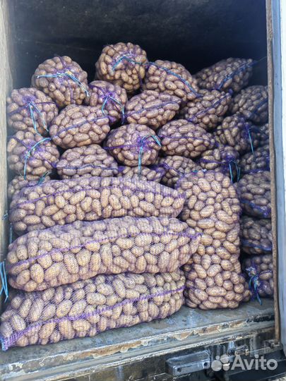 Продам картофель с доставкой(бесплатно)