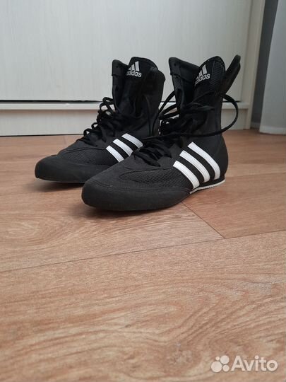 Боксерки adidas box hog 2