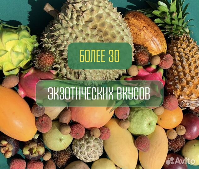 Манго свежее