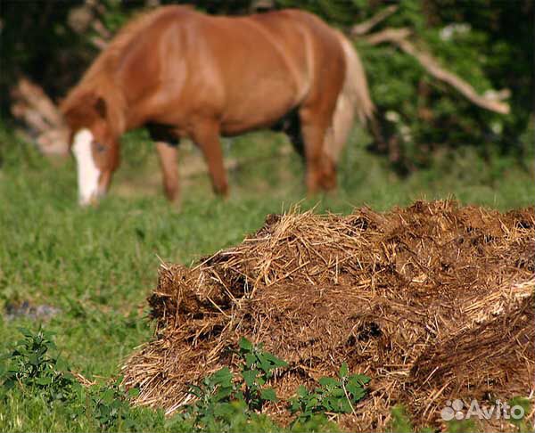 Удобрение, Навоз конский, перегной