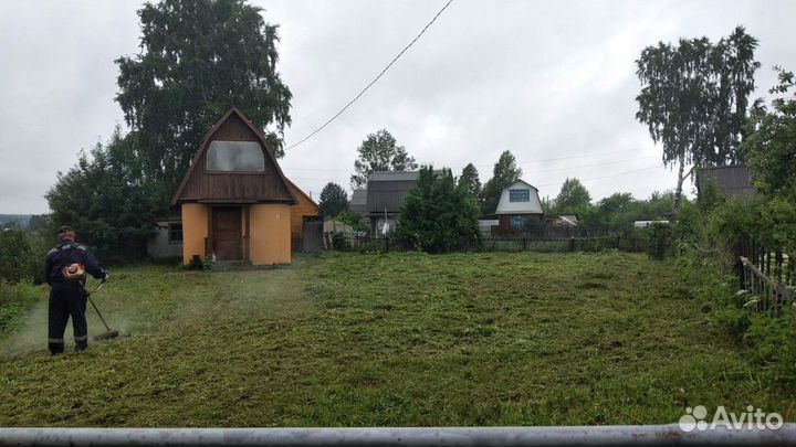 Покос травы бензиновым триммером