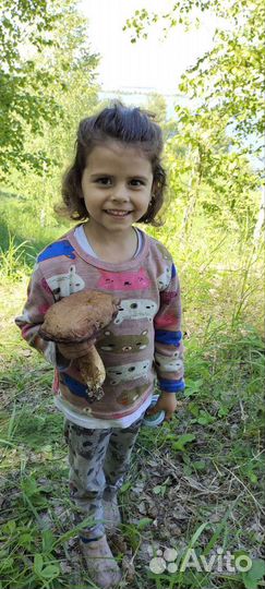 Няня. 24*7 на своей территории