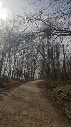 Дача 47 м² на участке 6 сот.