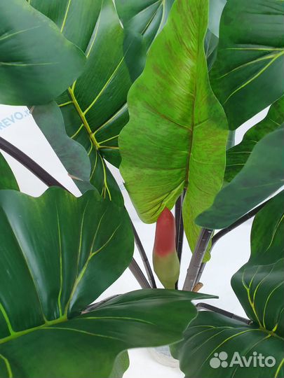 Искусственное дерево Алоказия 130см