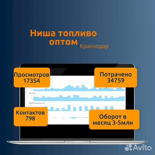 Авитолог / Услуги Авитолога / Продвижение на Авито