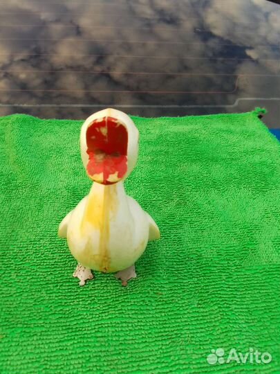 Заводная игрушка СССР