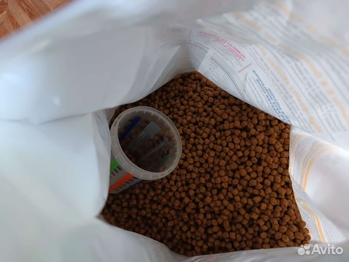 Кошачьи принадлежности