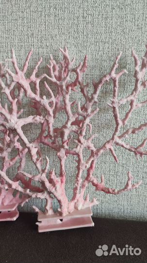 Кораллы для аквариума