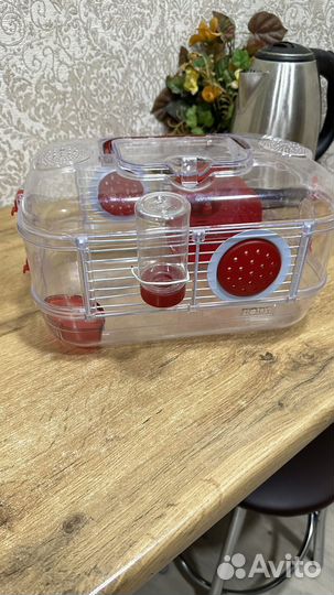 Клетка прозрачная для грызунов Zolux Rody Mini