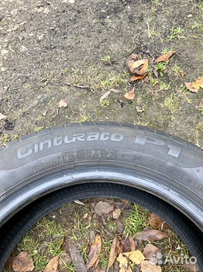 Pirelli Cinturato P1 185/65 R15