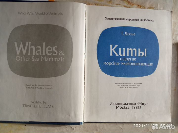 Певчие птицы; Птицы над сушей и морем