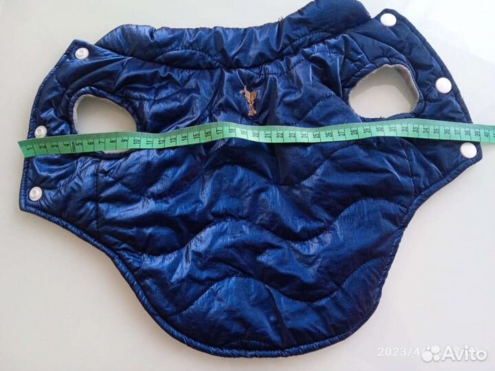 Желтка для маленькой собаки