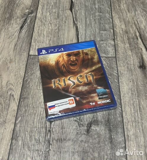 Игра PS4 Risen