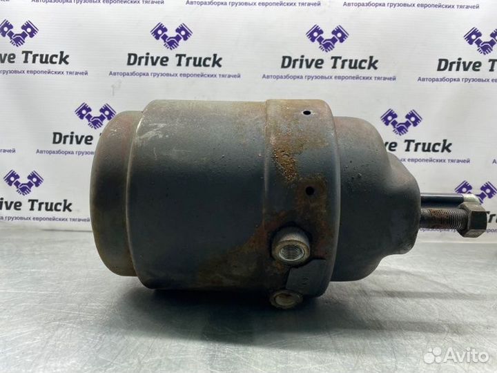 Энергоаккумулятор knorr задний Iveco Stralis