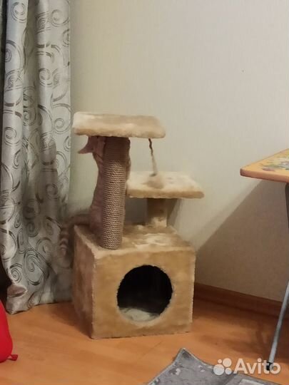 Кошачий домик с когтеточкой