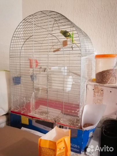 Волнистый попугай с клеткой