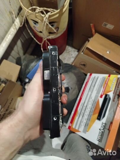 Жесткий диск Samsung 250 гб SP2504C