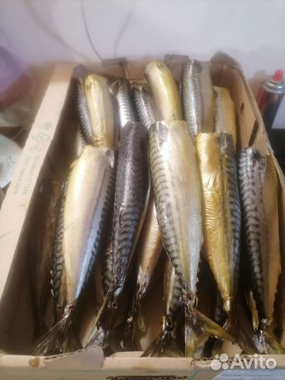 Горячее и холодное копчение