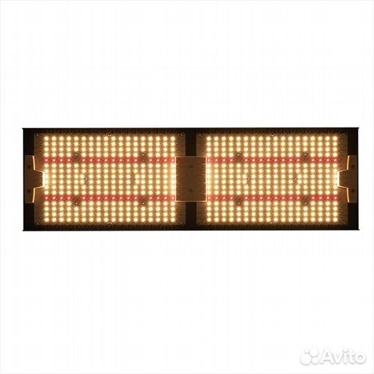 Кинг брайт 240w (д)