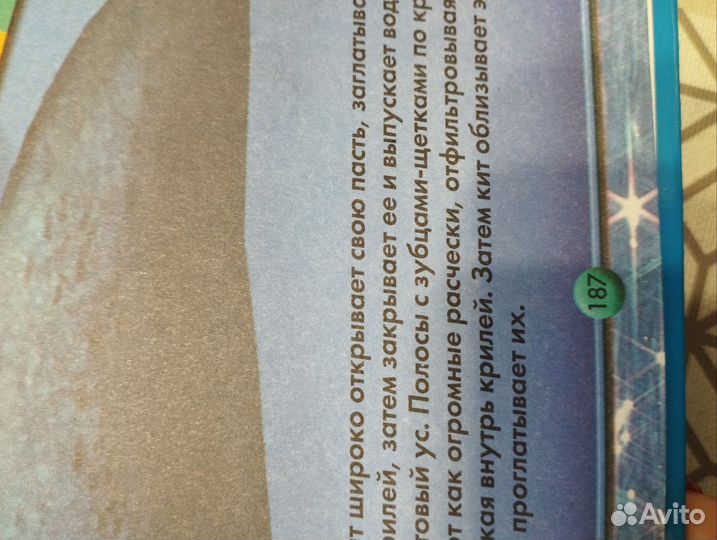 Детская энциклопедия животных