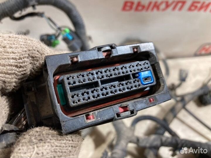 Проводка двс Chevrolet Cruze 2010