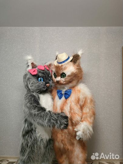 Аниматоры / Котики на праздник, выписку, др