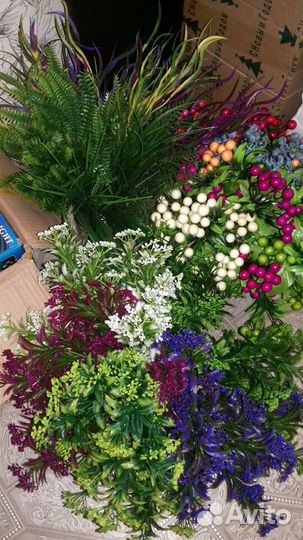 Флористика