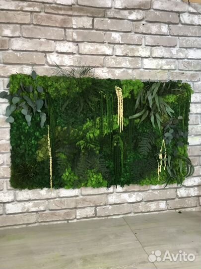 Панели из декоративного мха от производителя