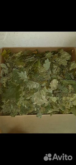 Корм для животных