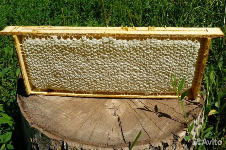 Соты или сотовый мёд