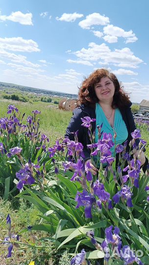 Ирисы (петушки)