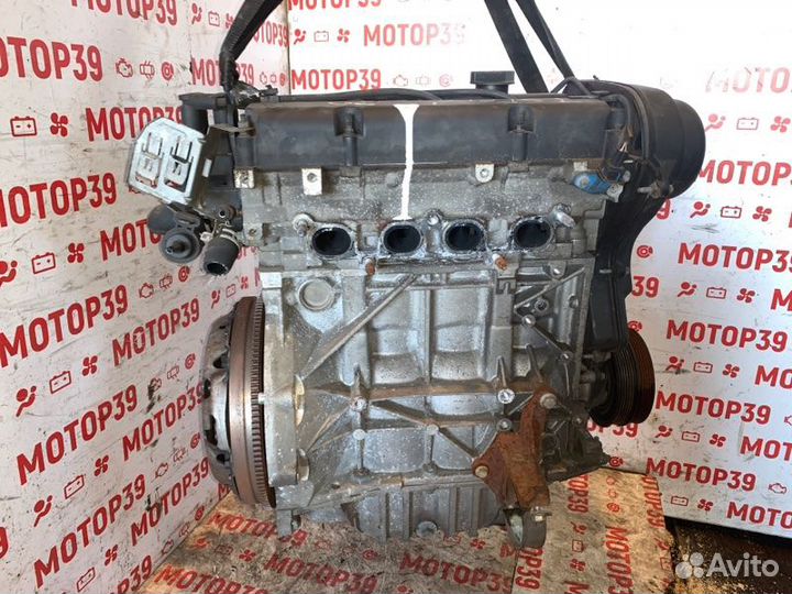 Двигатель Ford Focus 1.6 I shda 2008