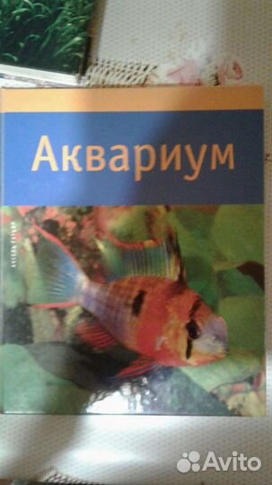Советы по аквариуму