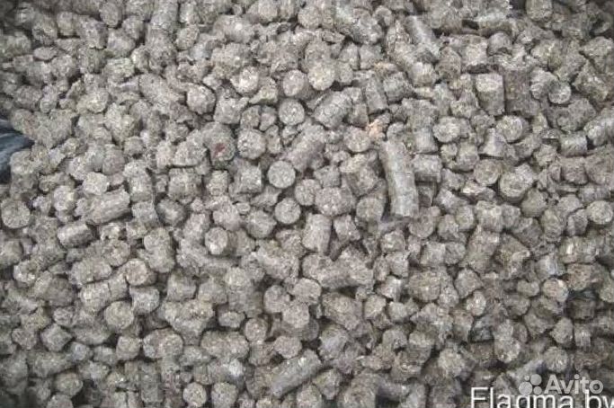 Пивная дробина кормовая