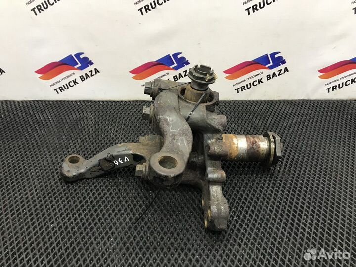 Кулак поворотный левый