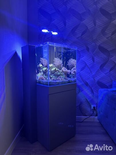 Морской аквариум