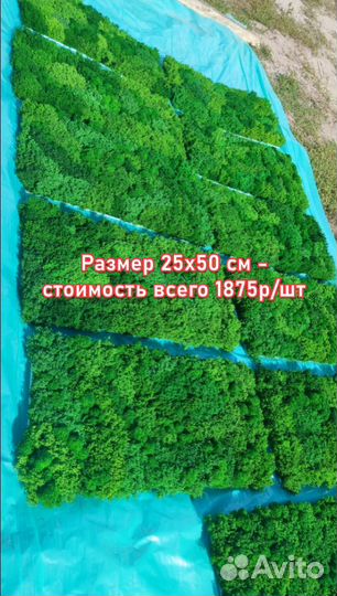 Модные и экологичные: уникальные вертикальные пане