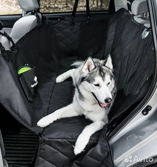 Зоотакси, передержка животных