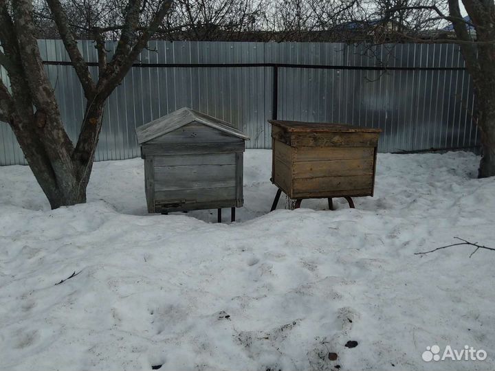 Ульи для пчел