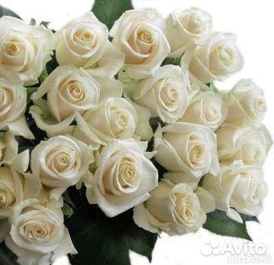 Цветы розы букет