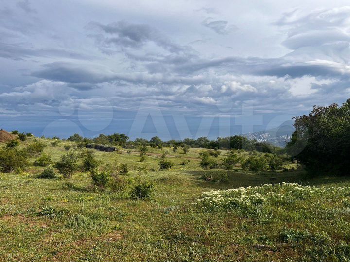 Участок 1,23 га (ИЖС)