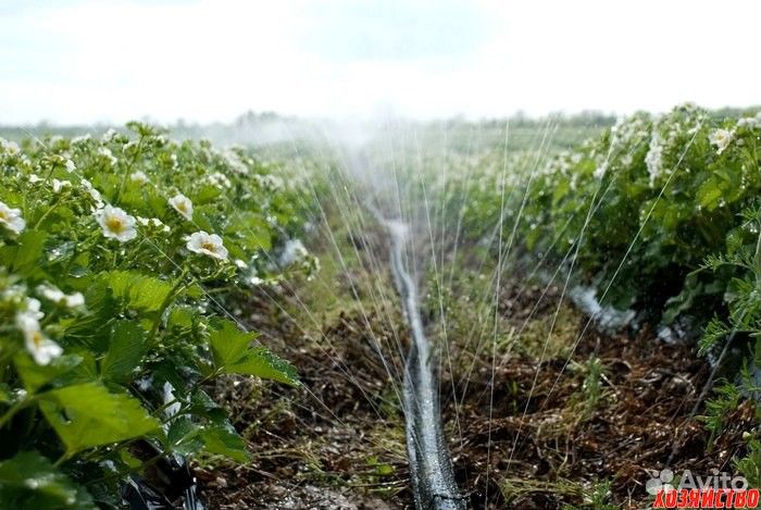 Шланг для полива Golden Spray